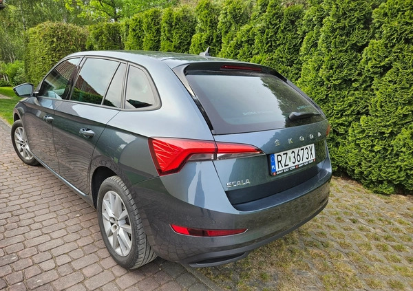 Skoda Scala cena 59900 przebieg: 95350, rok produkcji 2019 z Rzeszów małe 37
